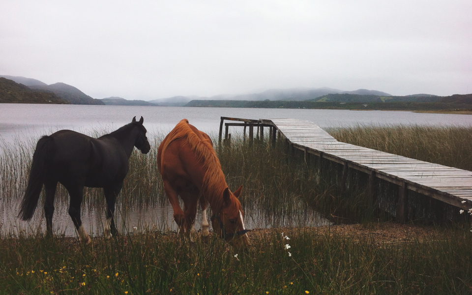 Parque nacional Chiloé